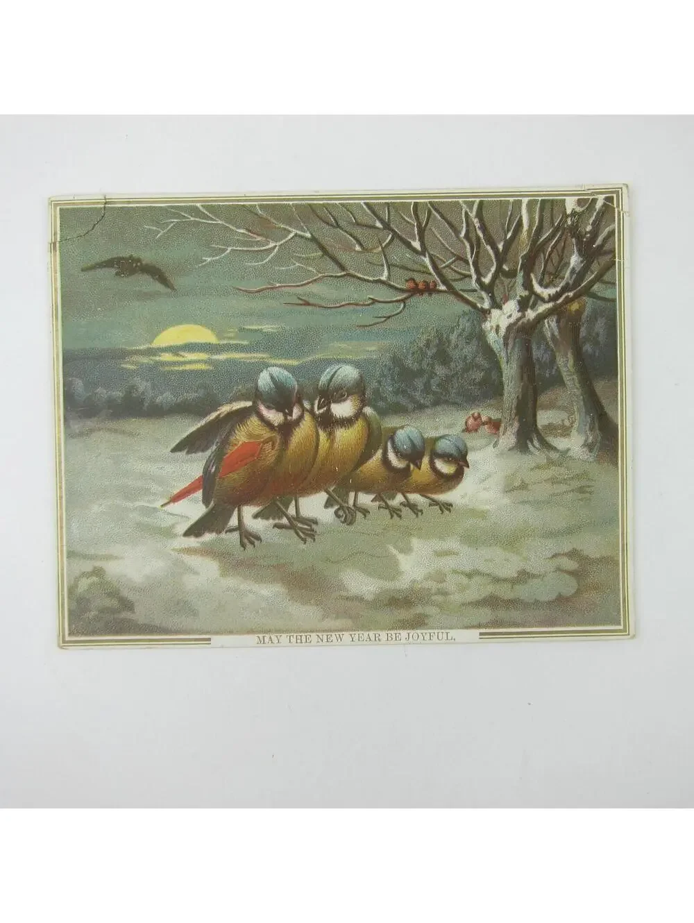 Victorian Greeting Card New Years Titmouse Birds Red Umbrella Snow Trees Antique